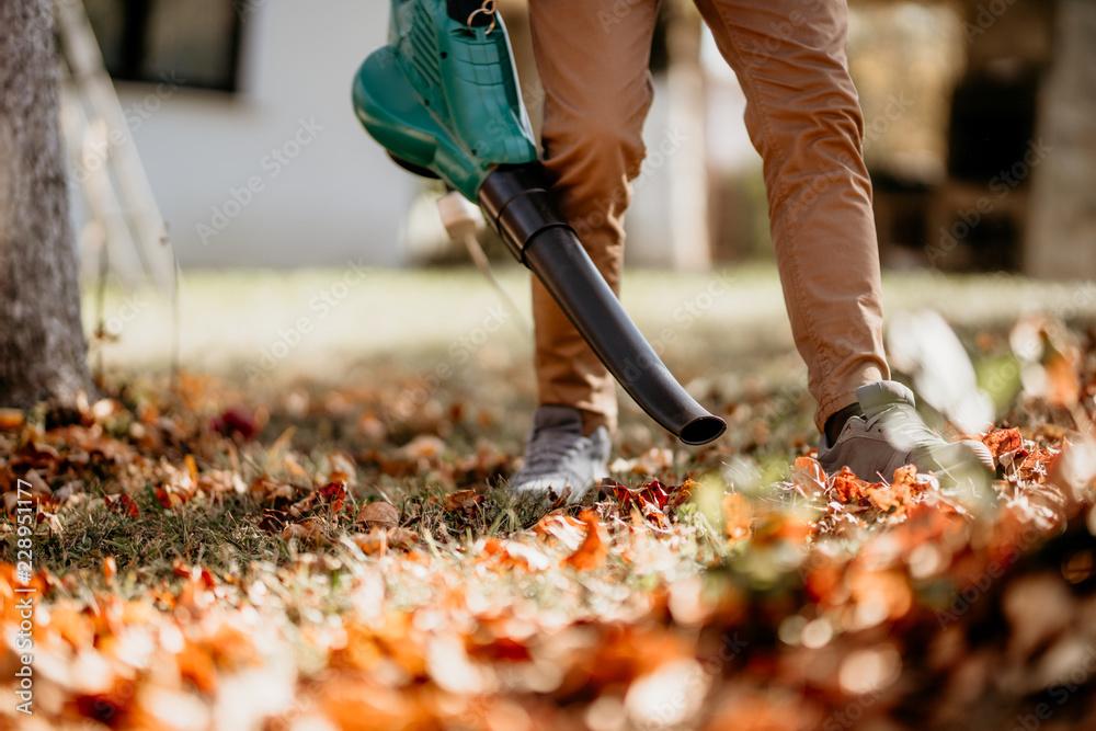 A crew member using a leaf blower to clear autumn leaves from a lawn