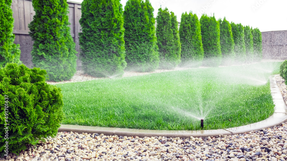 Sprinkler head running with even spray across a healthy lawn