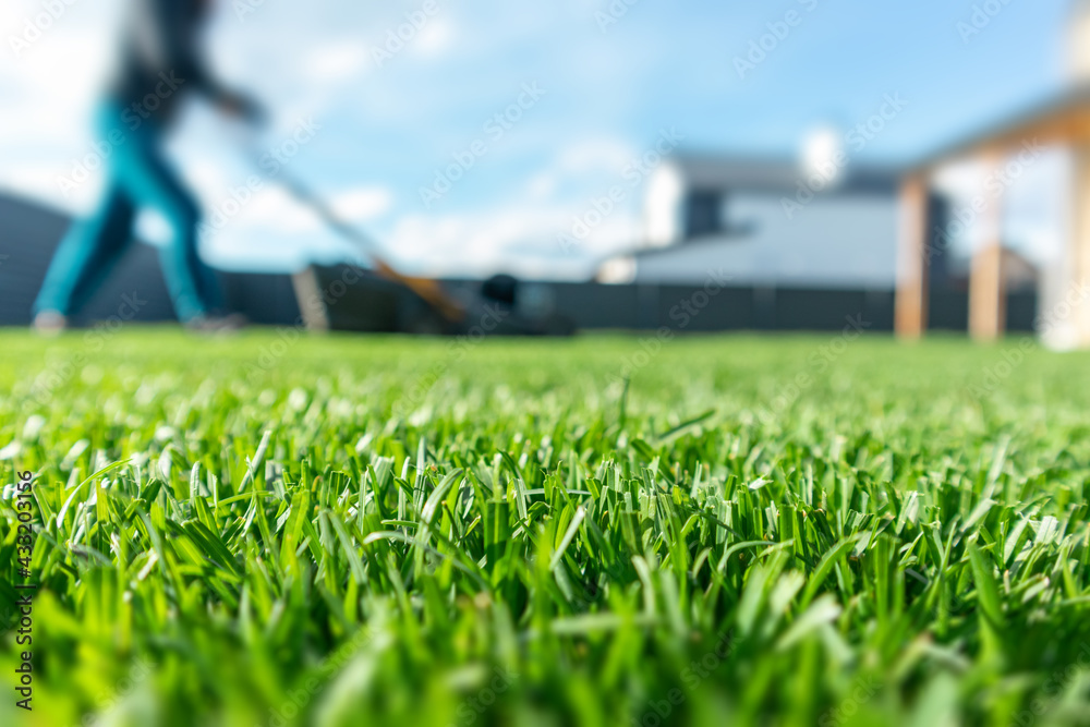 Lawn and Landscape Maintenance