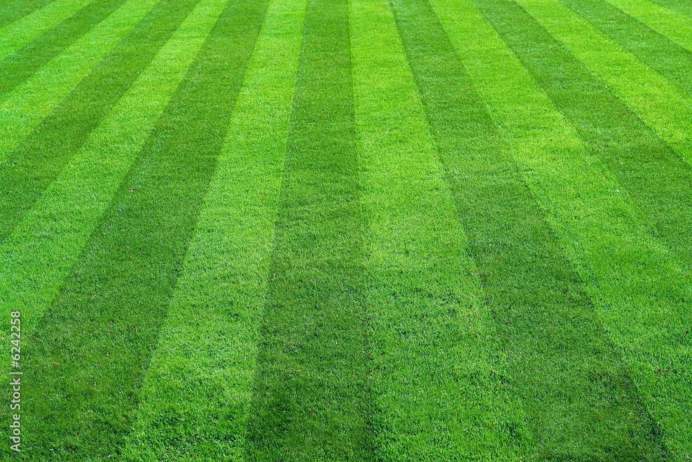 Lawn and Landscape Maintenance